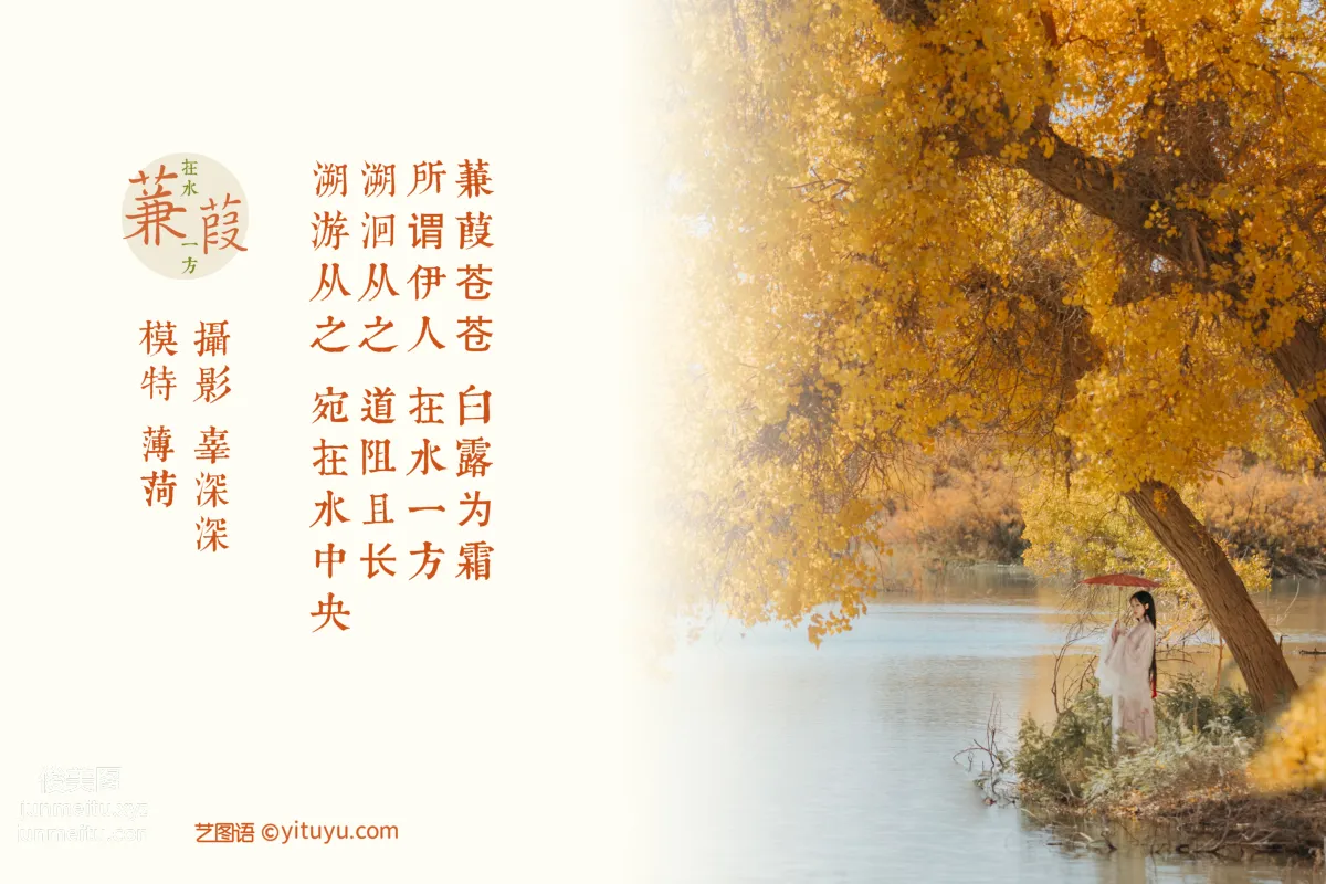 [YITUYU艺图语]2021.08.16 蒹葭 薄荷 page 2
