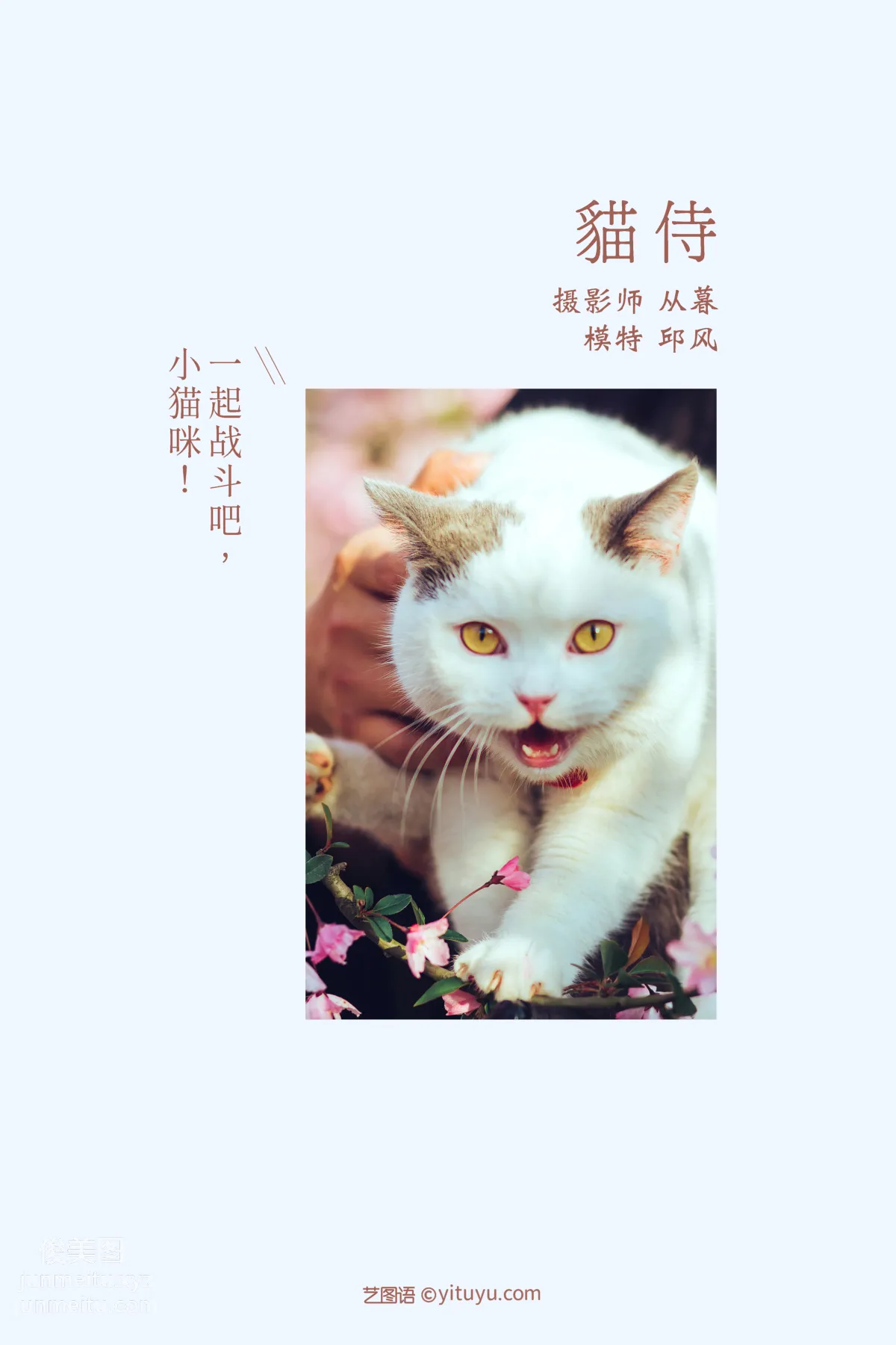 [YITUYU艺图语]2021.09.04 猫侍 邱风 page 2