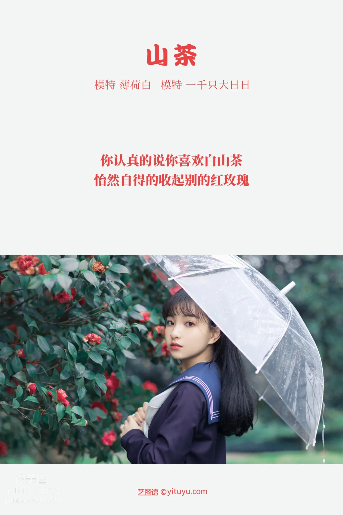 [YITUYU艺图语]2021.10.19 山茶 一千只大日日 page 2