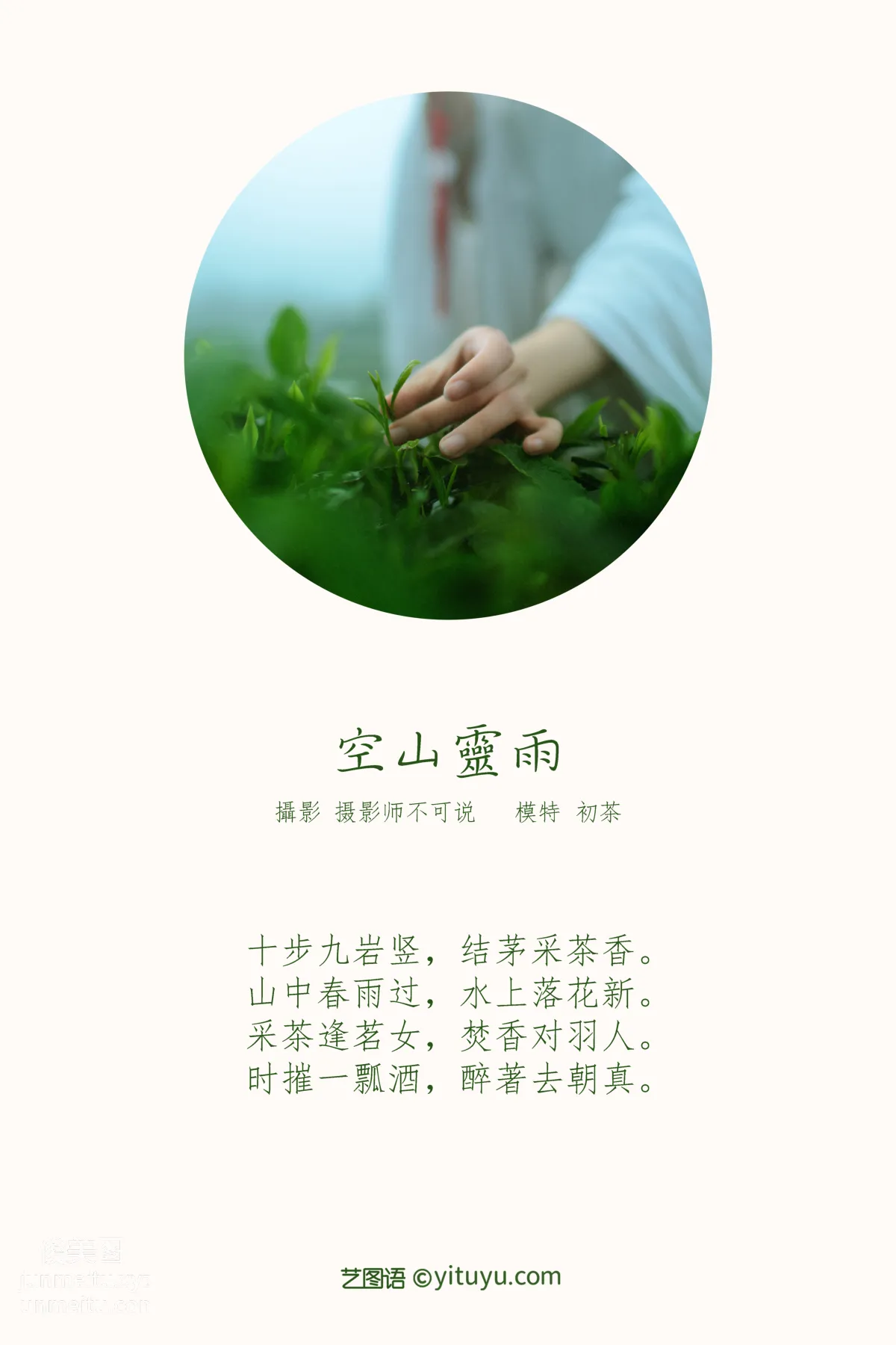 [YITUYU艺图语]2021.12.24 空山灵雨 初茶 page 2