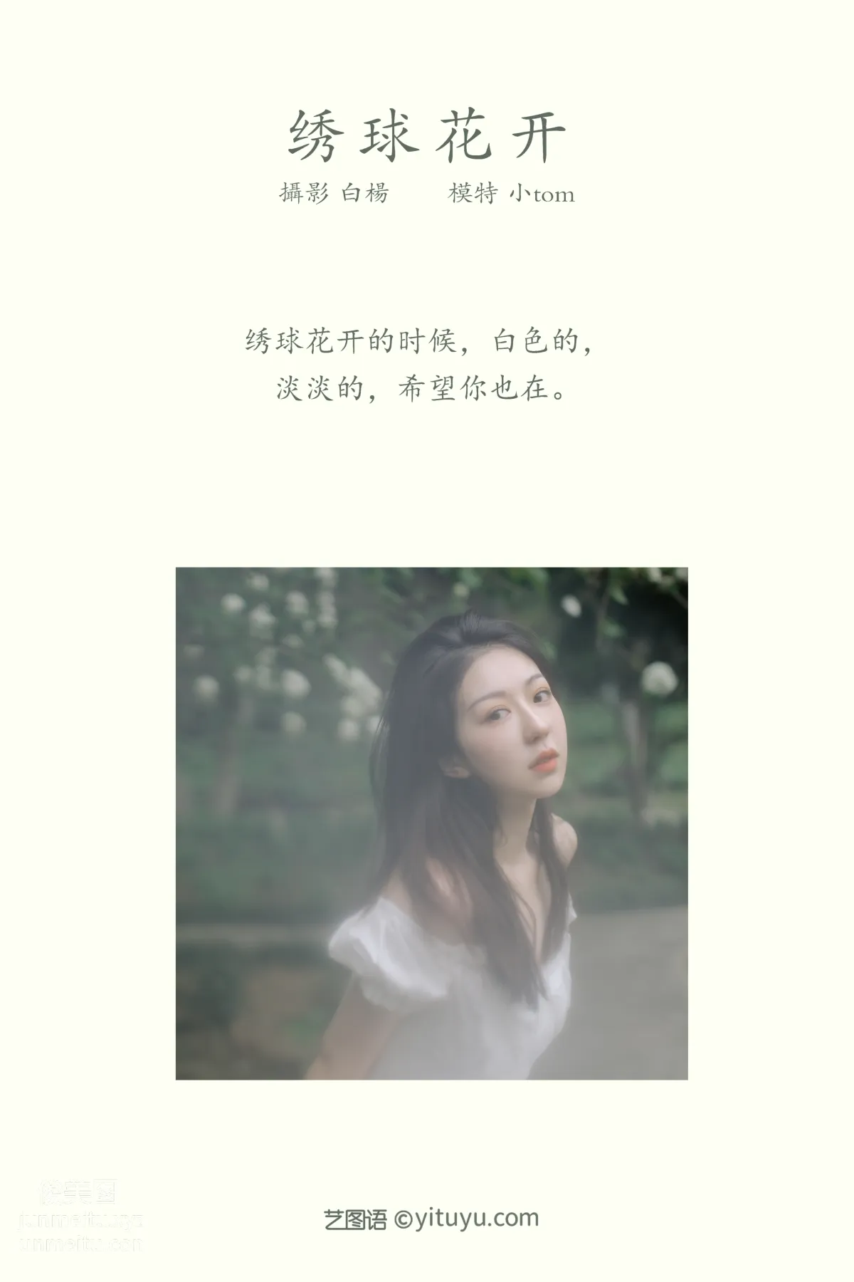 [YITUYU艺图语]2021.12.31 绣球花开 小tom page 2