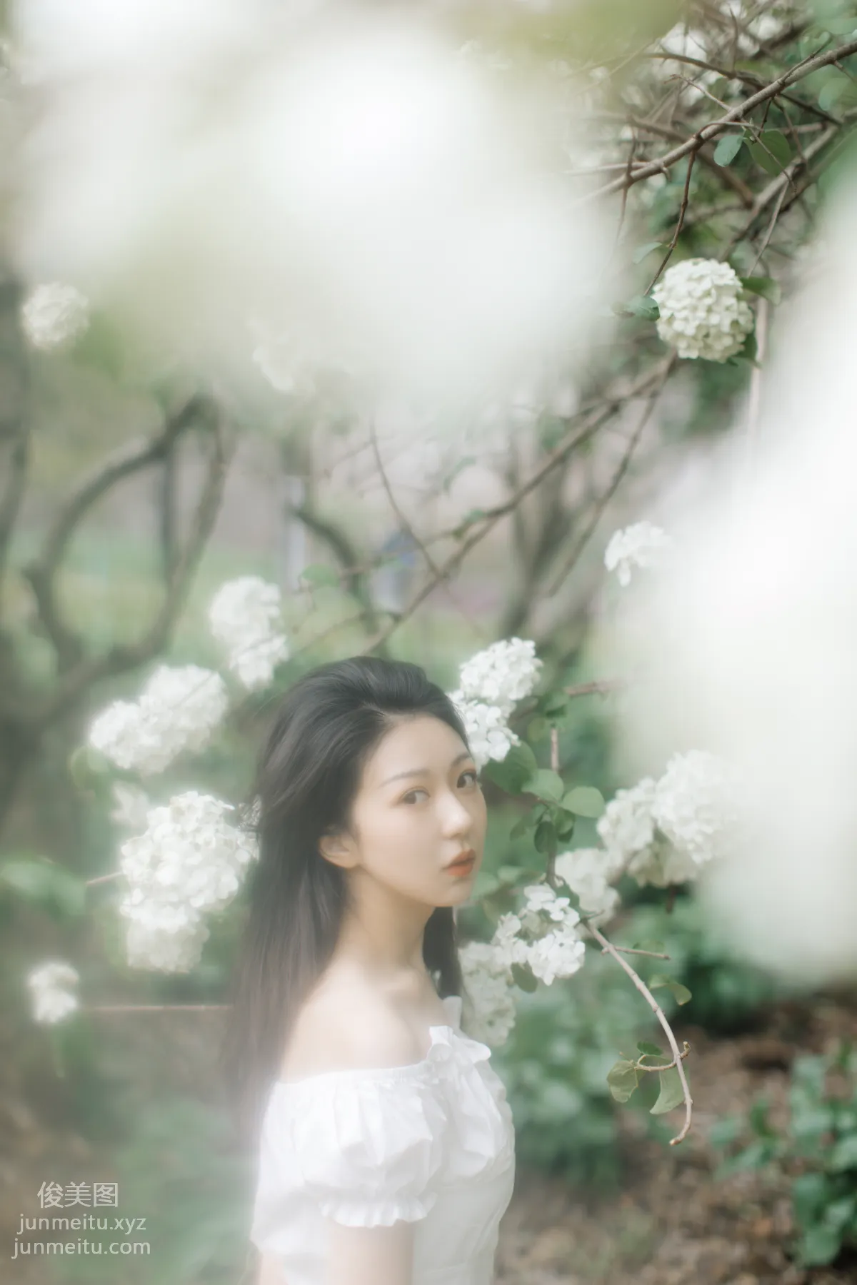 [YITUYU艺图语]2021.12.31 绣球花开 小tom page 3