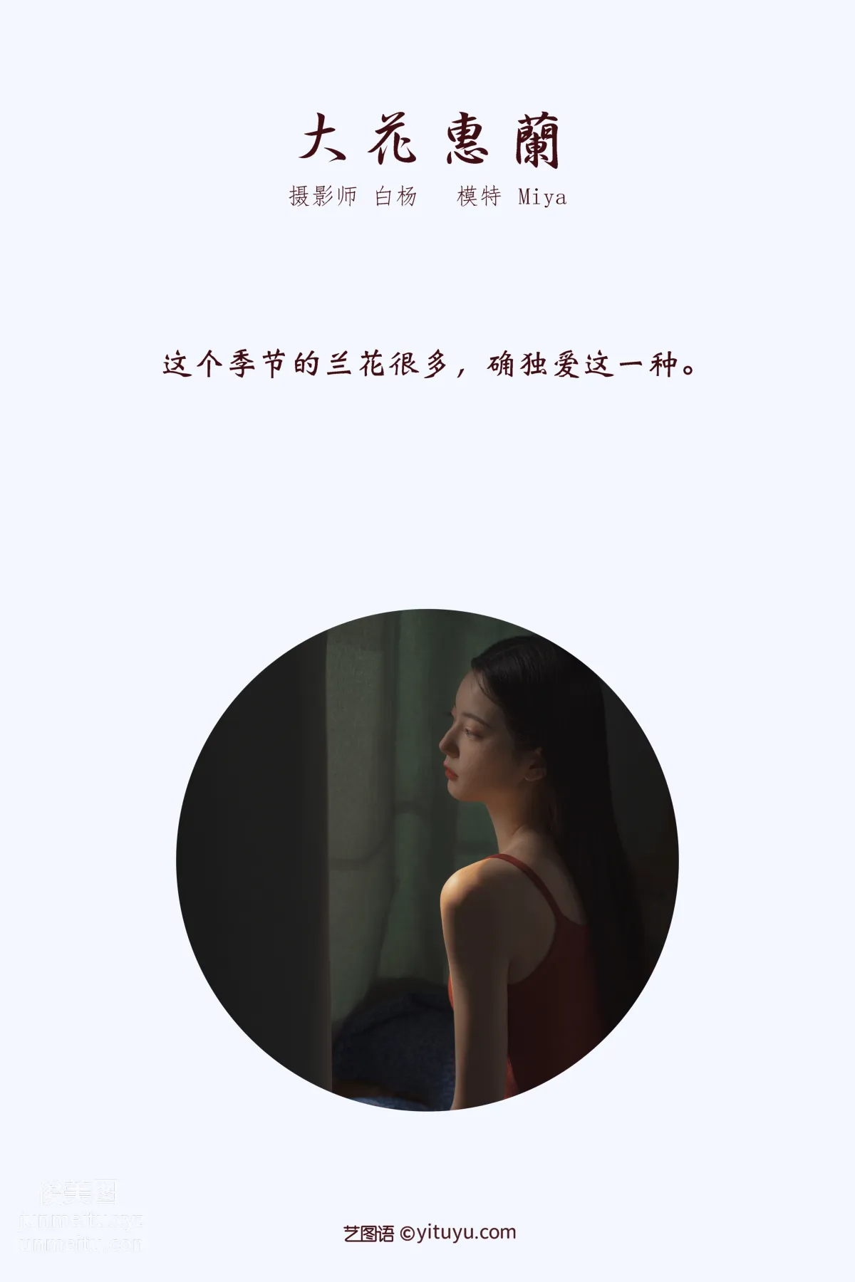 [YITUYU艺图语]2022.01.03 大花蕙兰 Miya怡君 page 2