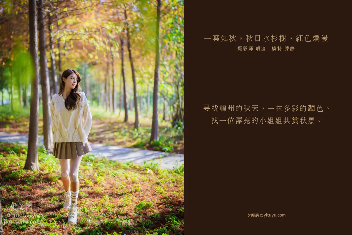 [YITUYU艺图语]2022.02.03 一叶知秋，秋日水杉树，红色烂漫 滕静 page 2