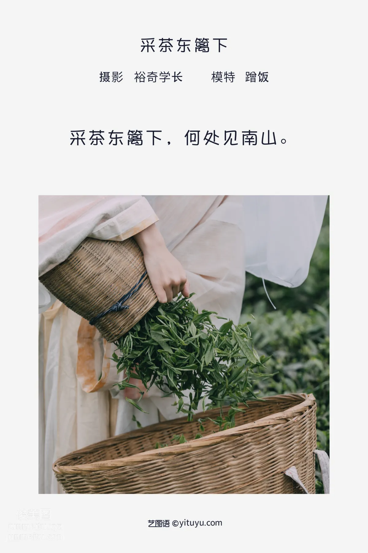 [艺图语] 2022.05.12 采茶东篱下 蹭饭 page 3