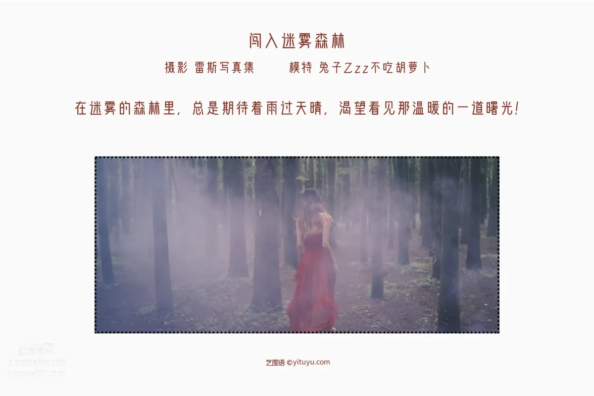 [艺图语] 2022.05.12 闯入迷雾森林 兔子Zzz不吃胡萝卜 page 3