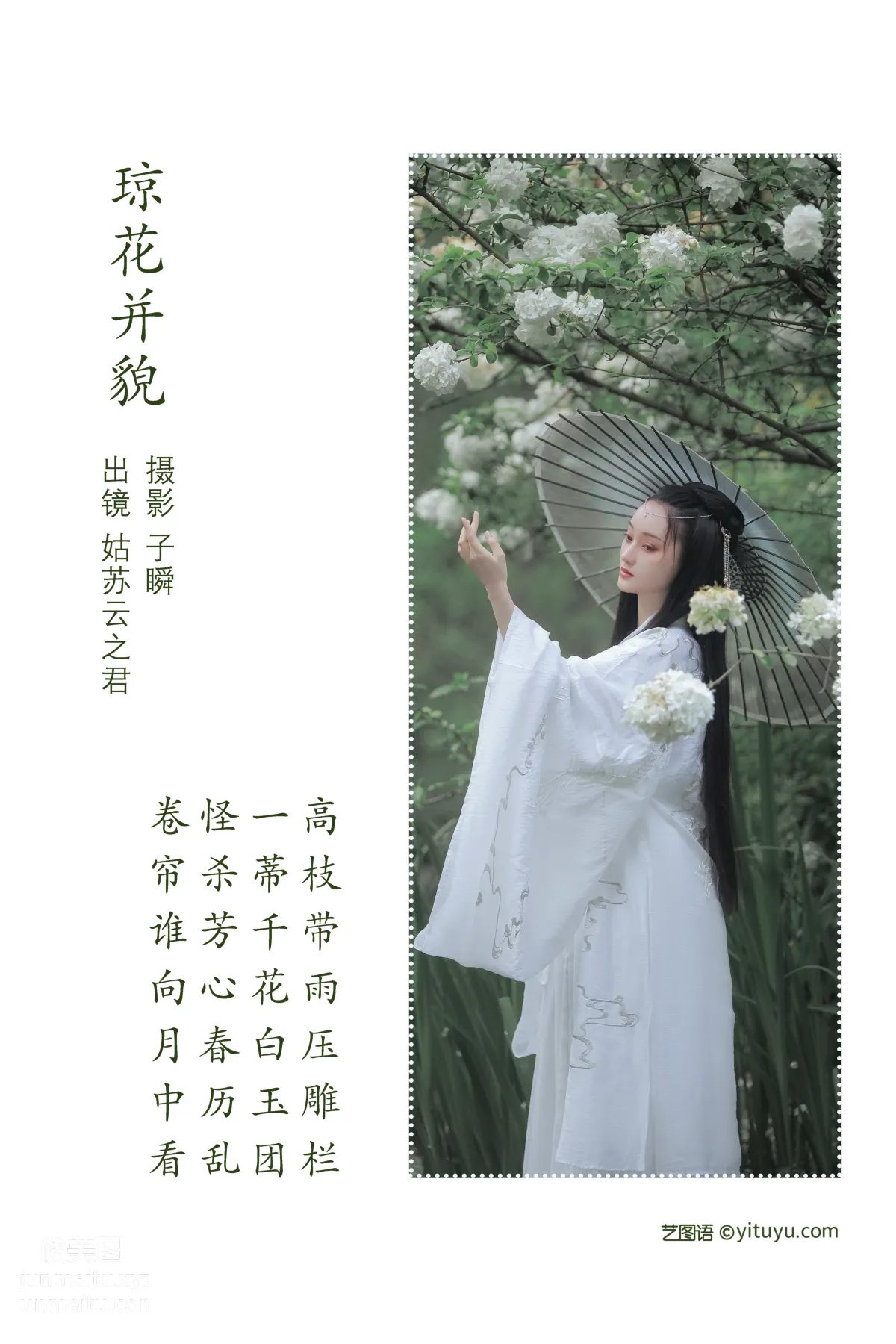 [艺图语] 2022.06.15 琼花并貌 云之是小狐狸吖 page 3