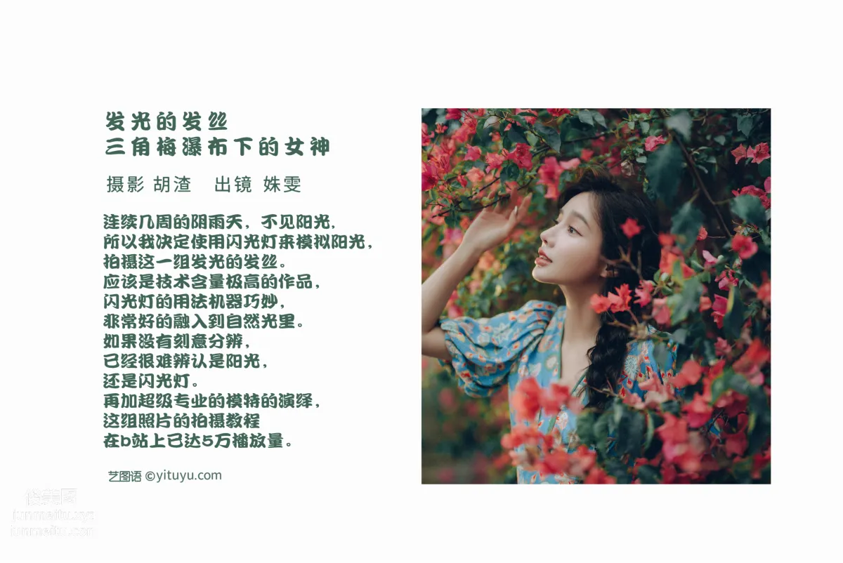 [艺图语] 2022.06.25 发光的发丝，三角梅瀑布下的女神 姝雯同学 page 3
