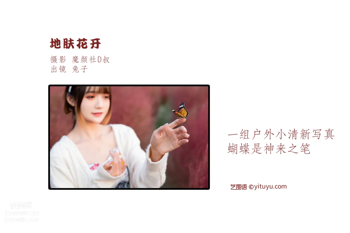 [艺图语] 2022.06.27 地肤花开 兔子Zzz不吃胡萝卜 page 3