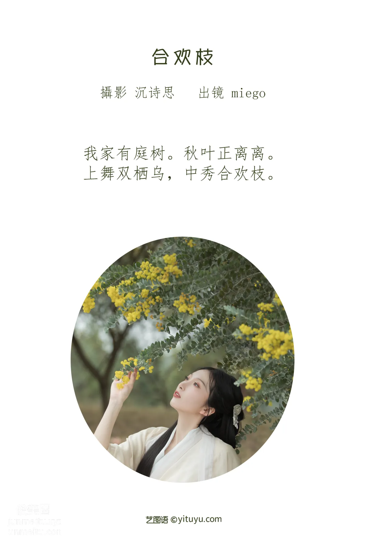 [艺图语] 2022.07.02 合欢枝 miego page 3
