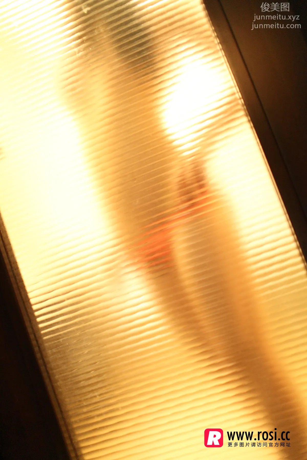 ROSI写真 2015.12.15 NO.1468 page 31