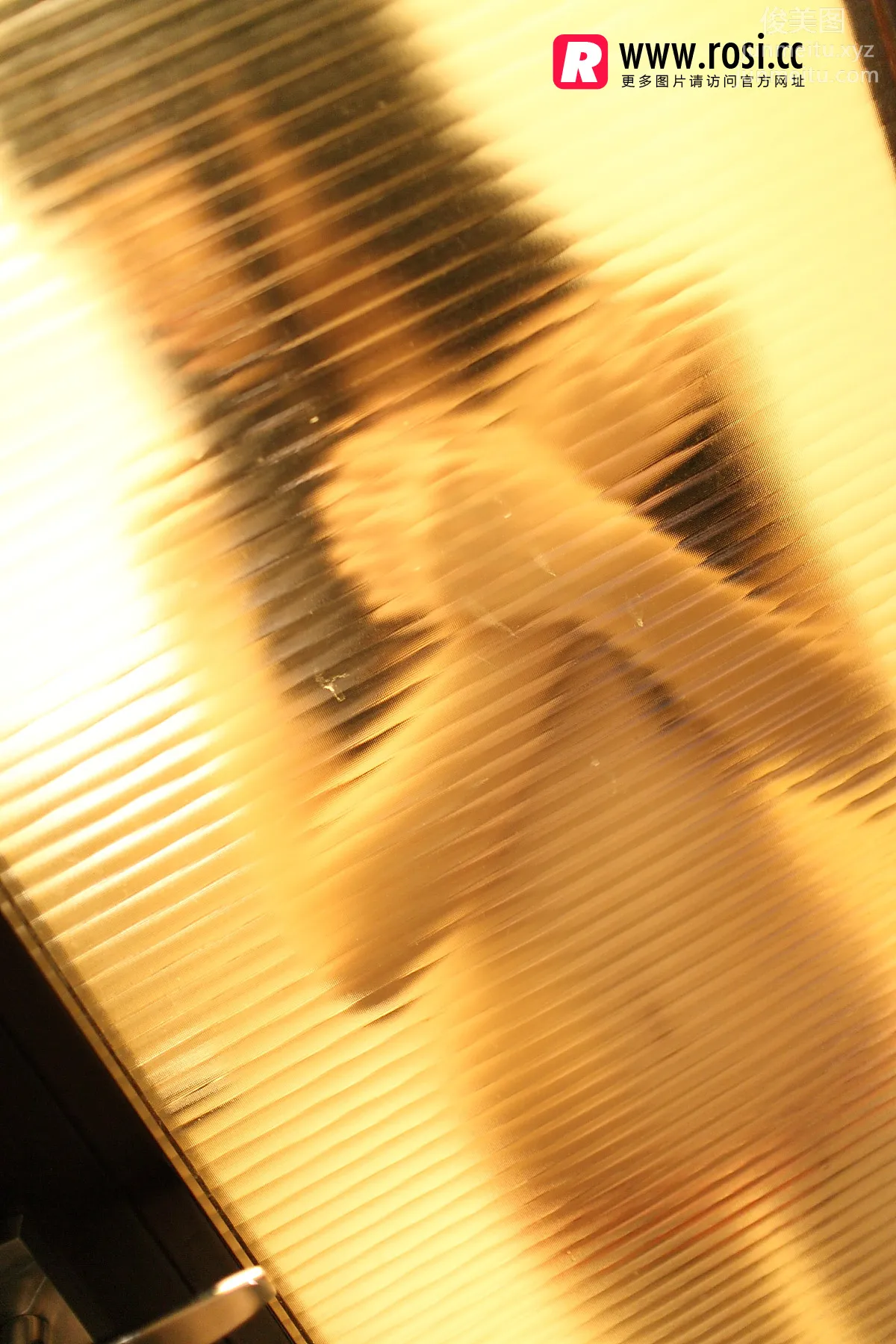 ROSI写真 2015.12.15 NO.1468 page 14