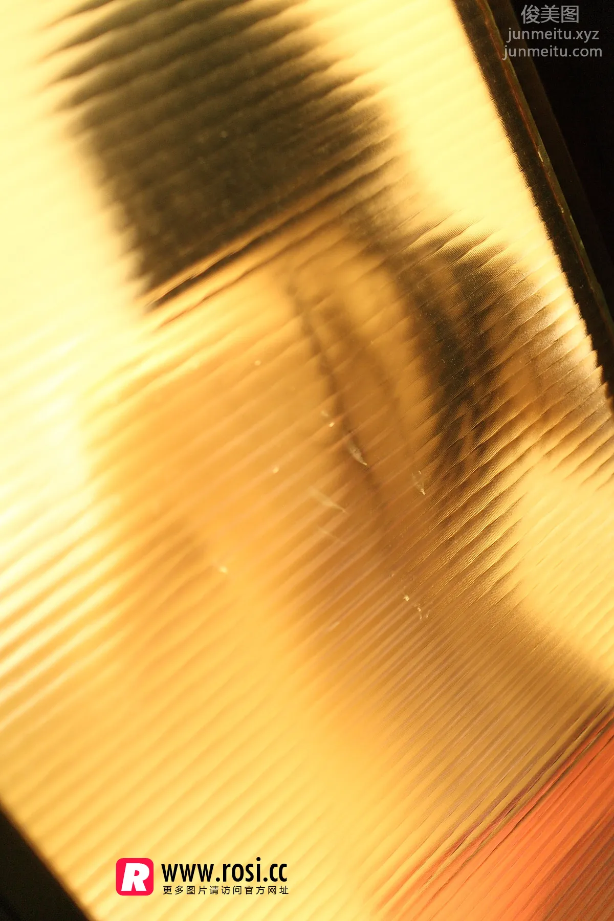 ROSI写真 2015.12.15 NO.1468 page 5