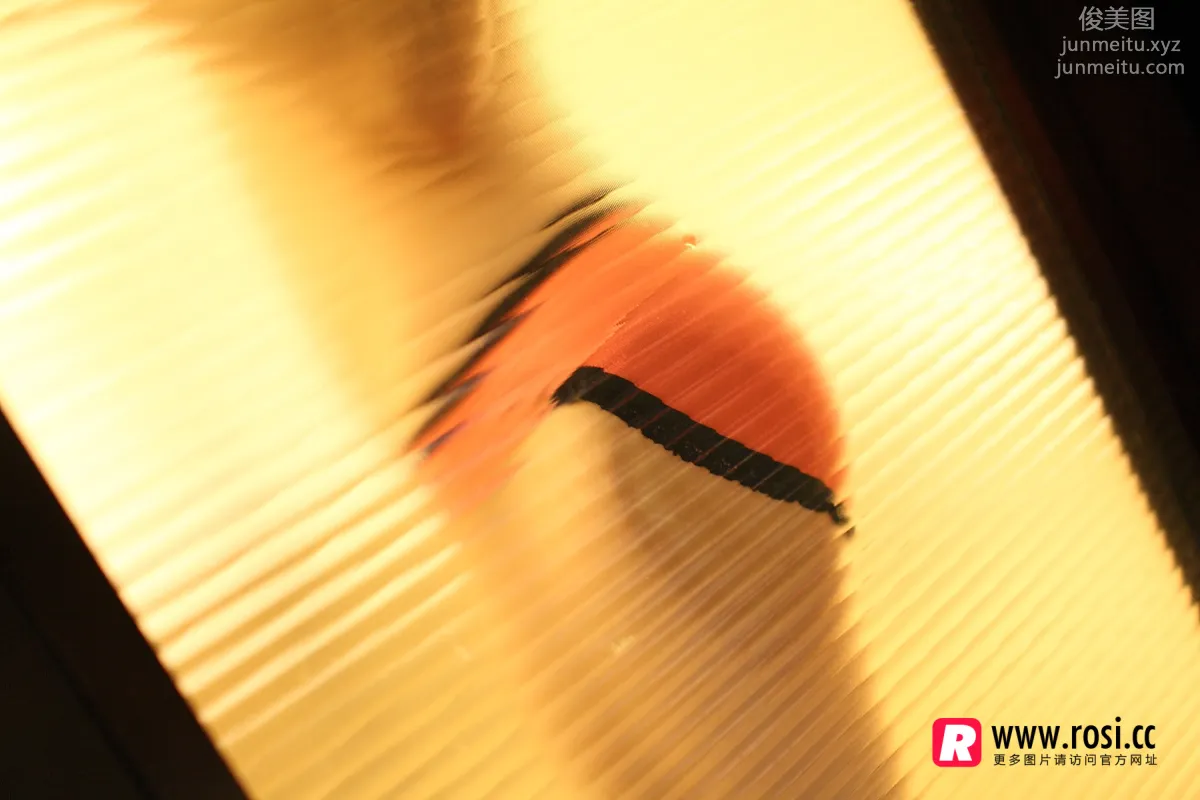 ROSI写真 2015.12.15 NO.1468 page 11