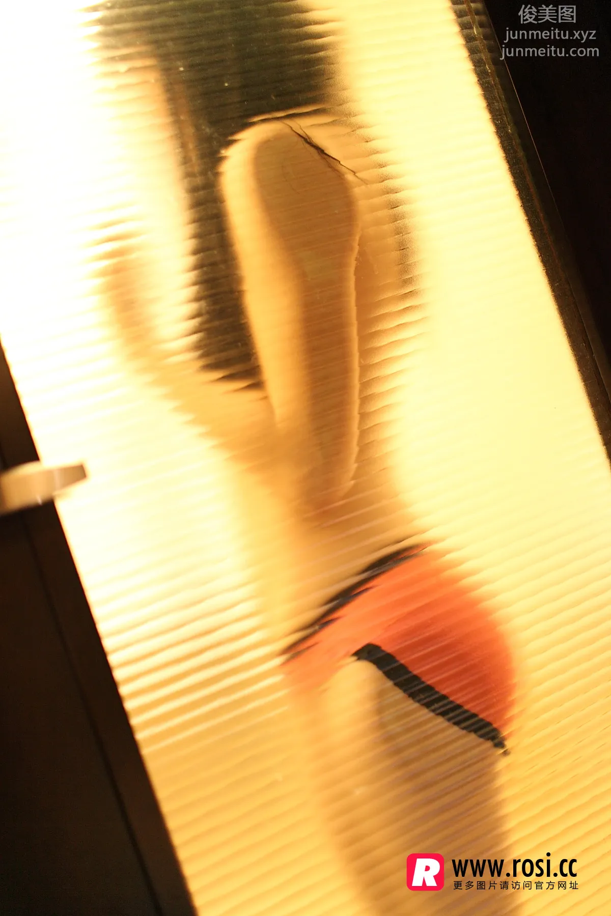 ROSI写真 2015.12.15 NO.1468 page 13