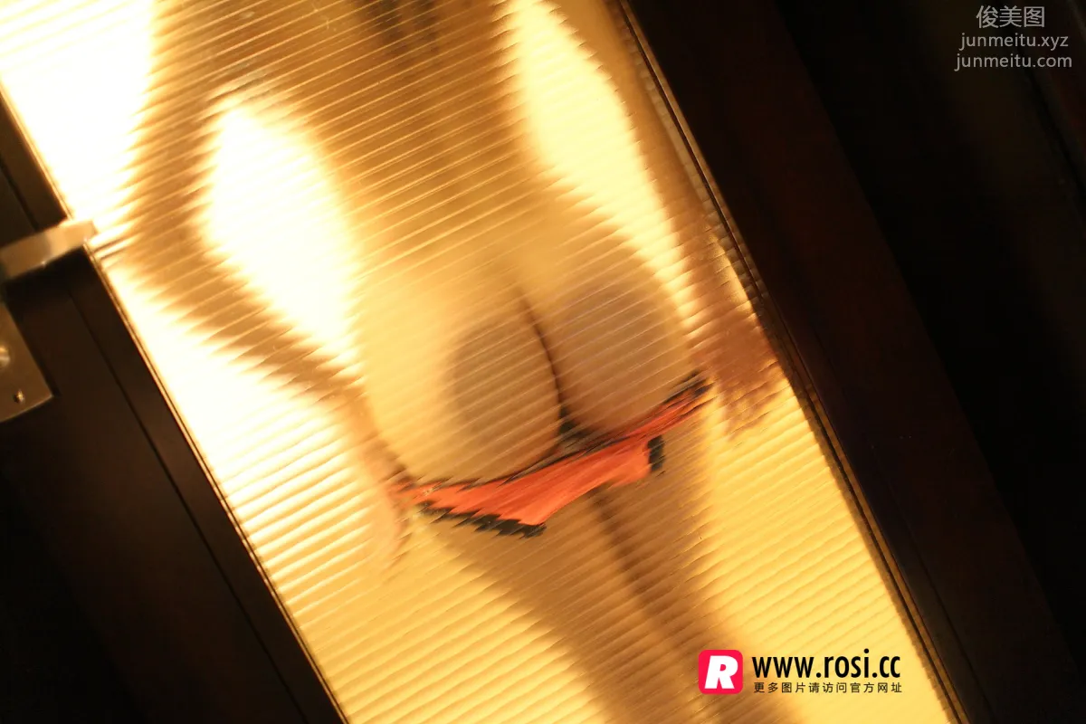 ROSI写真 2015.12.15 NO.1468 page 26