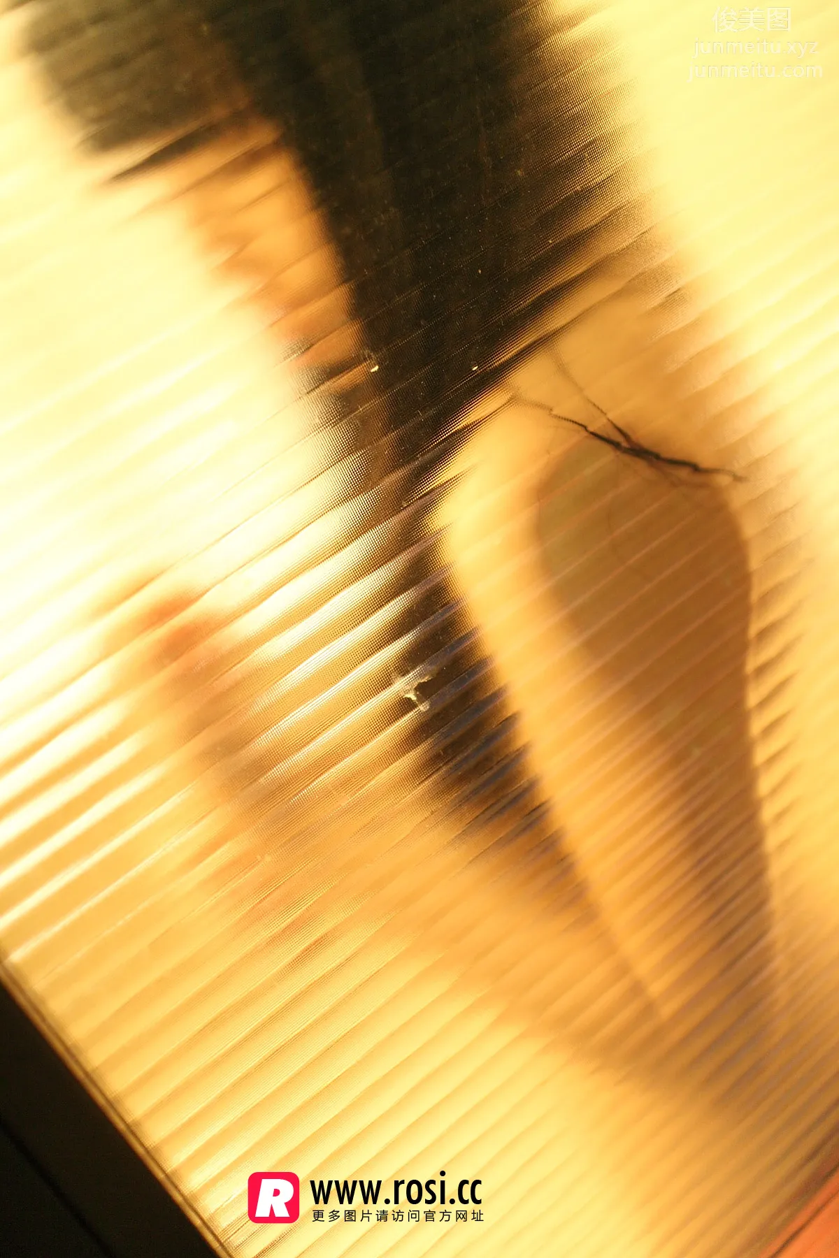 ROSI写真 2015.12.15 NO.1468 page 10