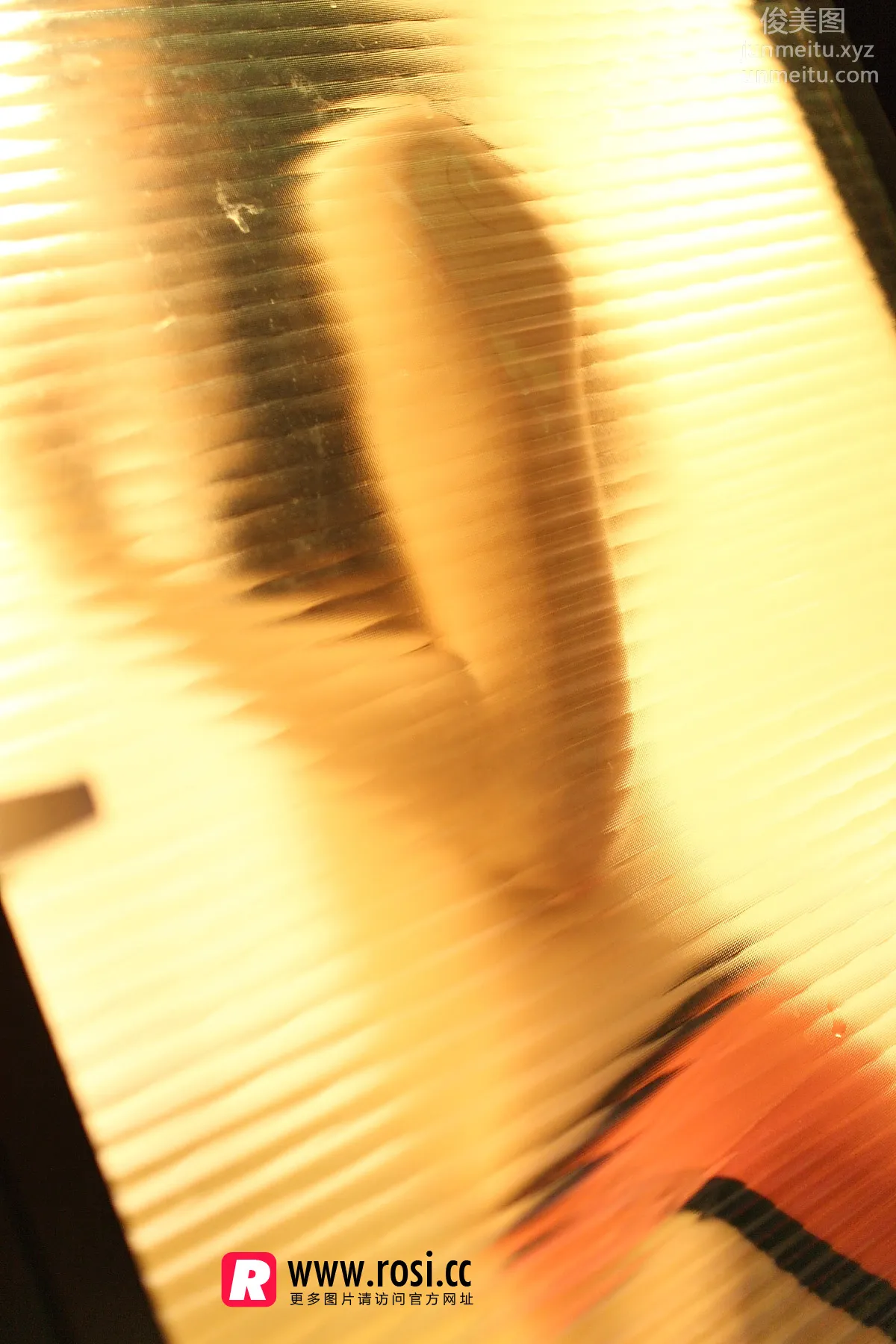 ROSI写真 2015.12.15 NO.1468 page 12