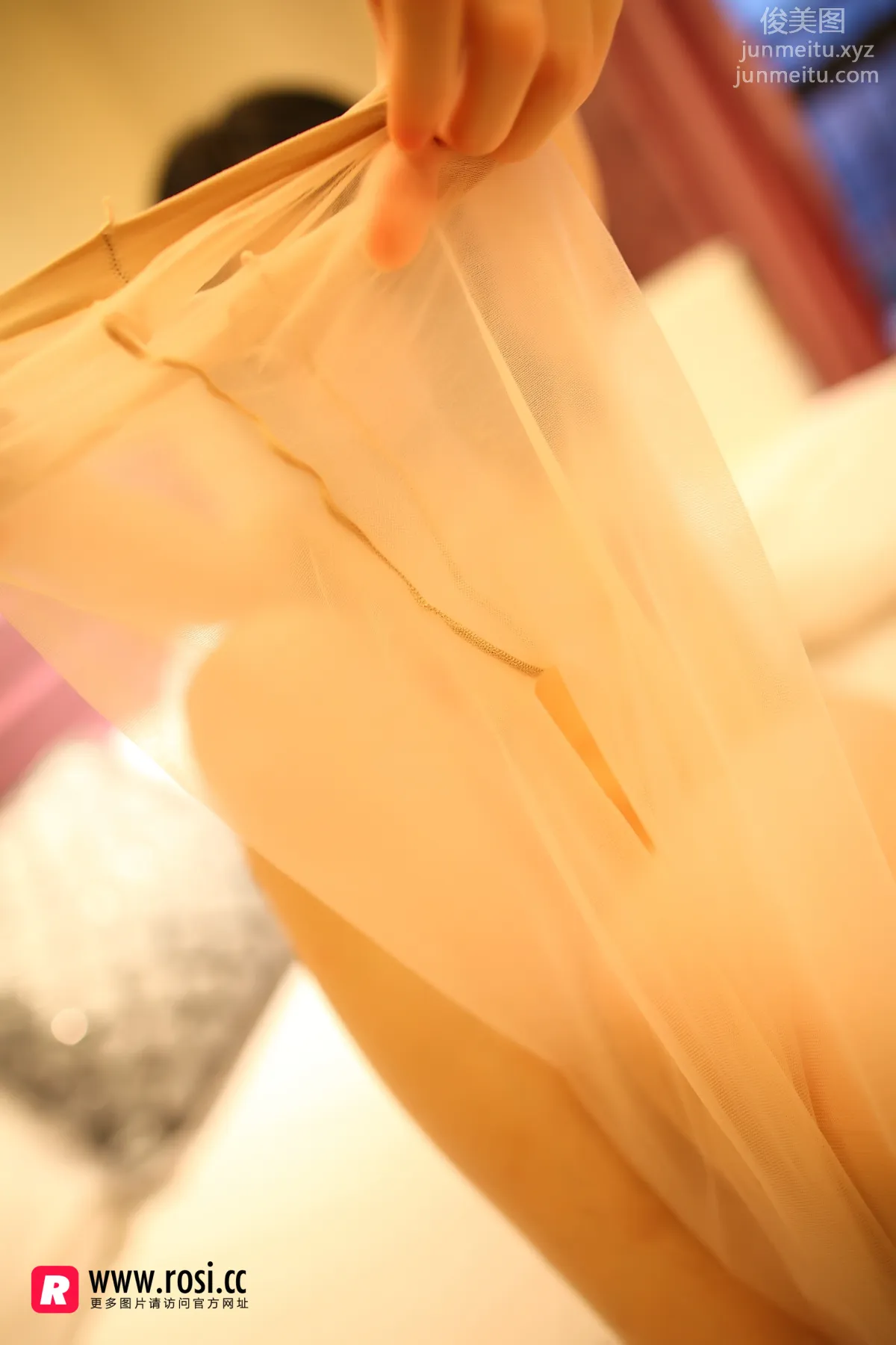 ROSI写真 [ROSI写真] 2017.02.14 NO.1896 page 4