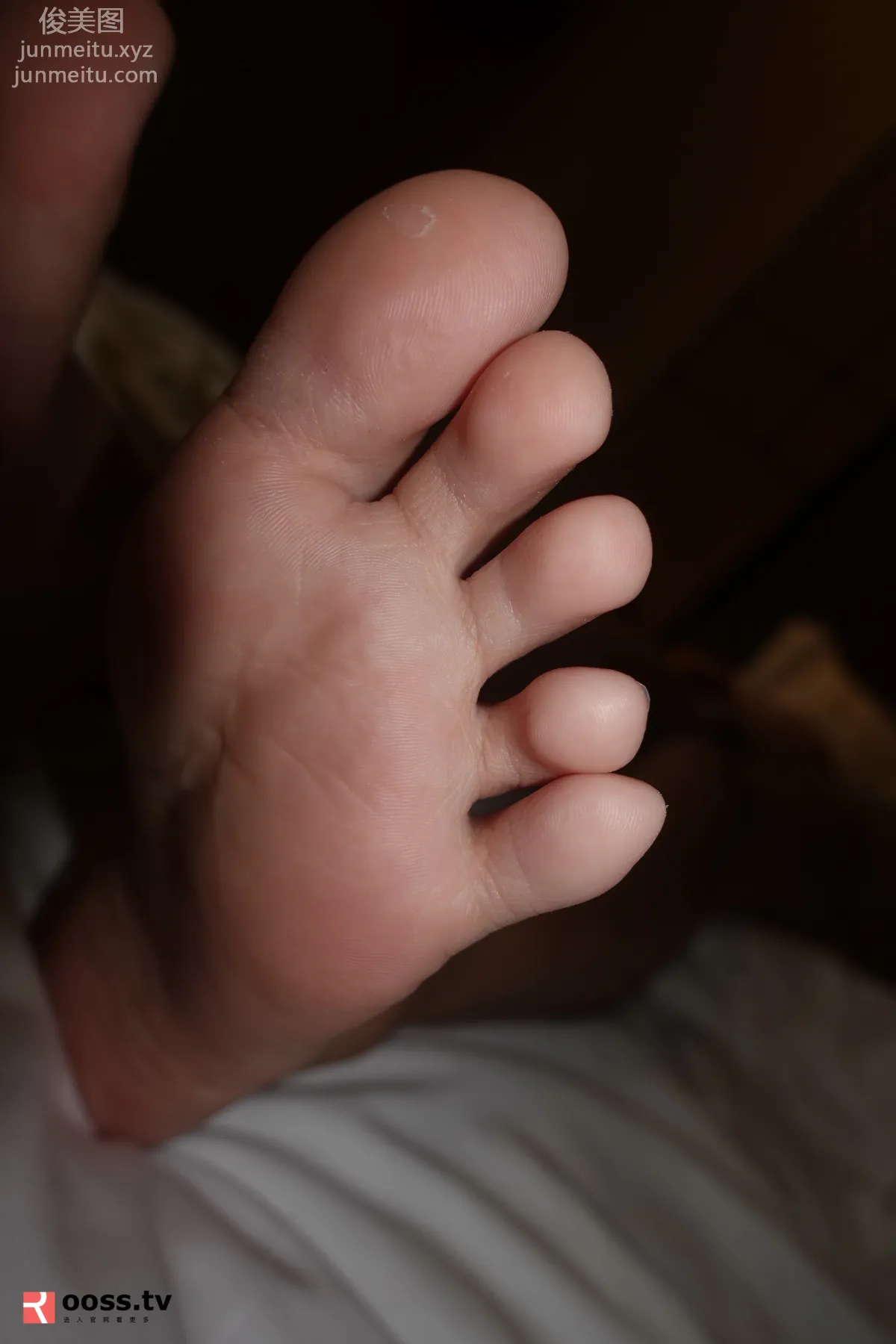 [ROSI写真] 2019.10.29 NO.2885 page 4