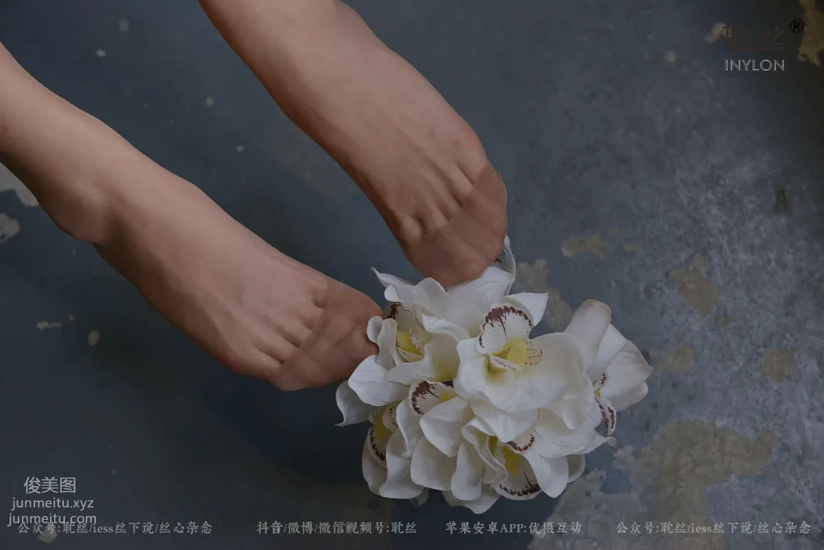 [耽丝]008-优雅的本色 [97P] page 94