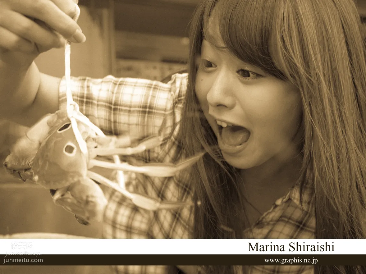 [Graphis] 2014.12.08 白石茉莉奈 page 167