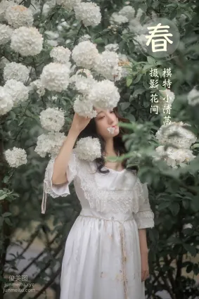 [YITUYU艺图语]2021.12.22 春 小清菡