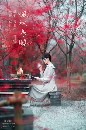 [YITUYU艺图语]2021.12.23 枫林春晓 初茶