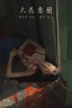 [YITUYU艺图语]2022.01.03 大花蕙兰 Miya怡君