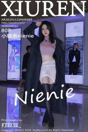 [Xiuren秀人网]2024.11.22 NO.9489 小薯条nienie